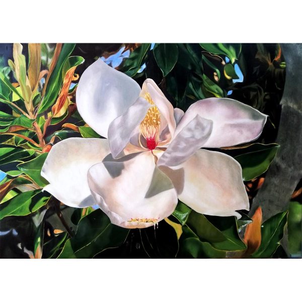 Magnólia 50x70 cm